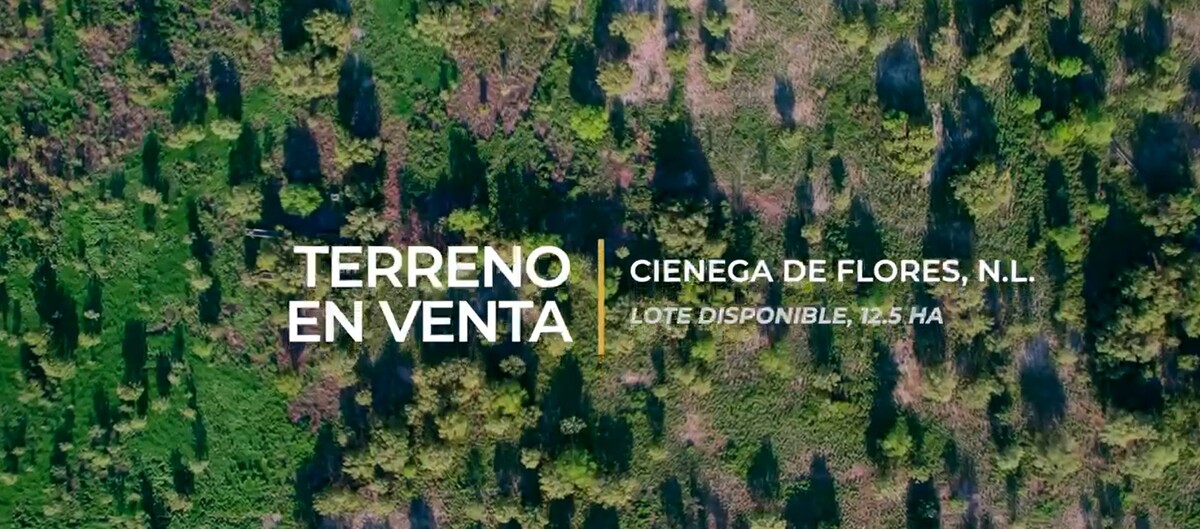 3 de 7