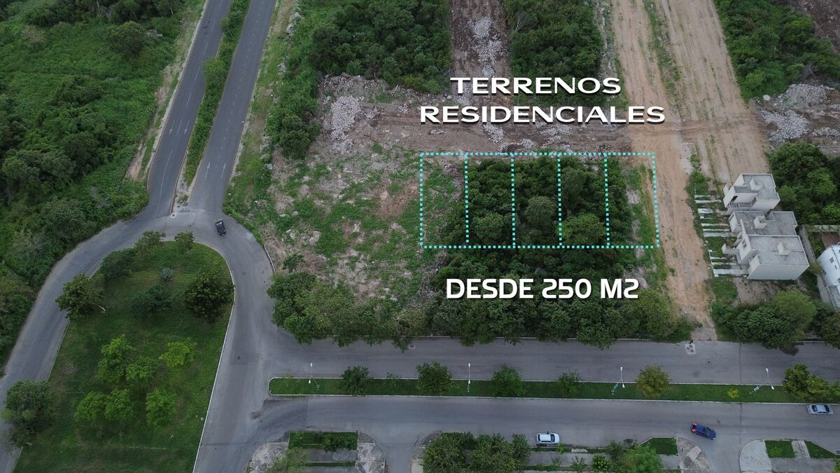 2 de 6