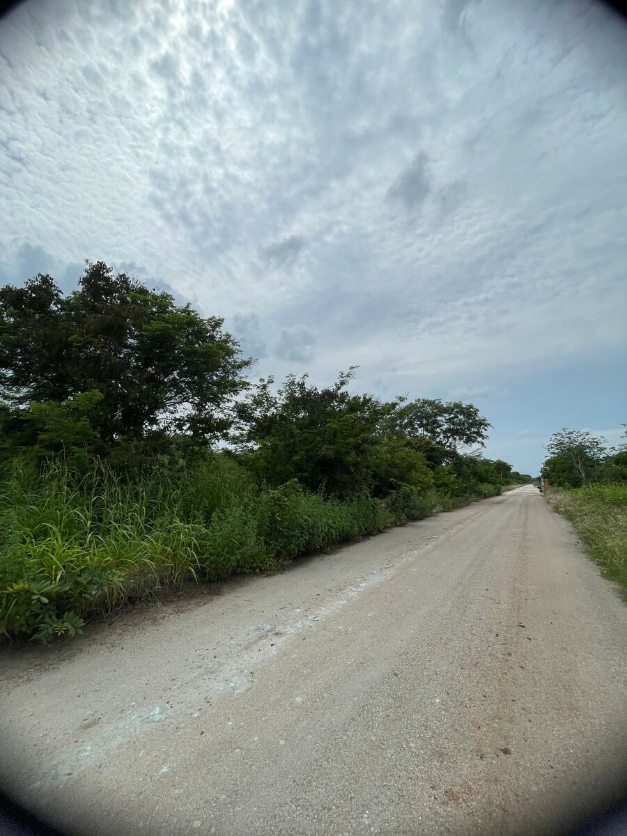 6 de 10