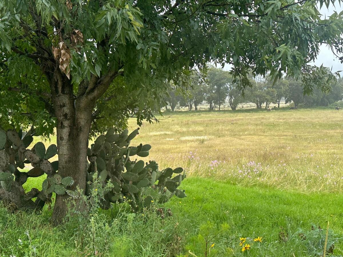 5 de 5