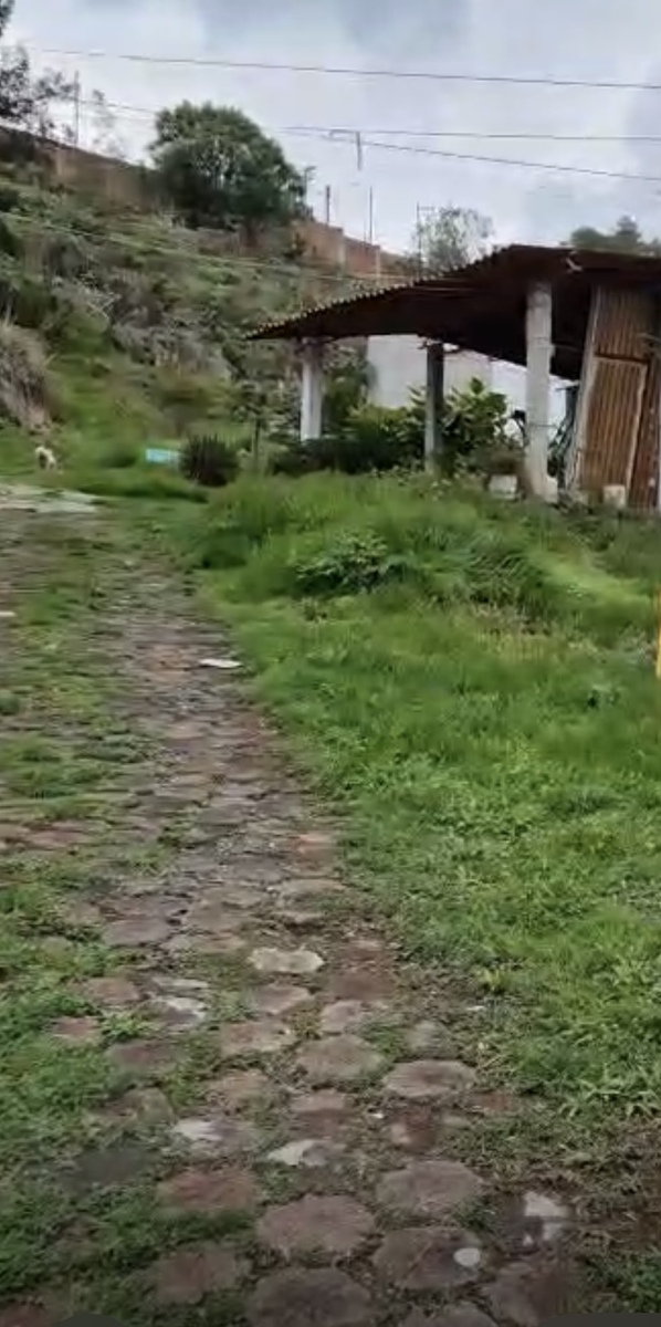 3 de 3