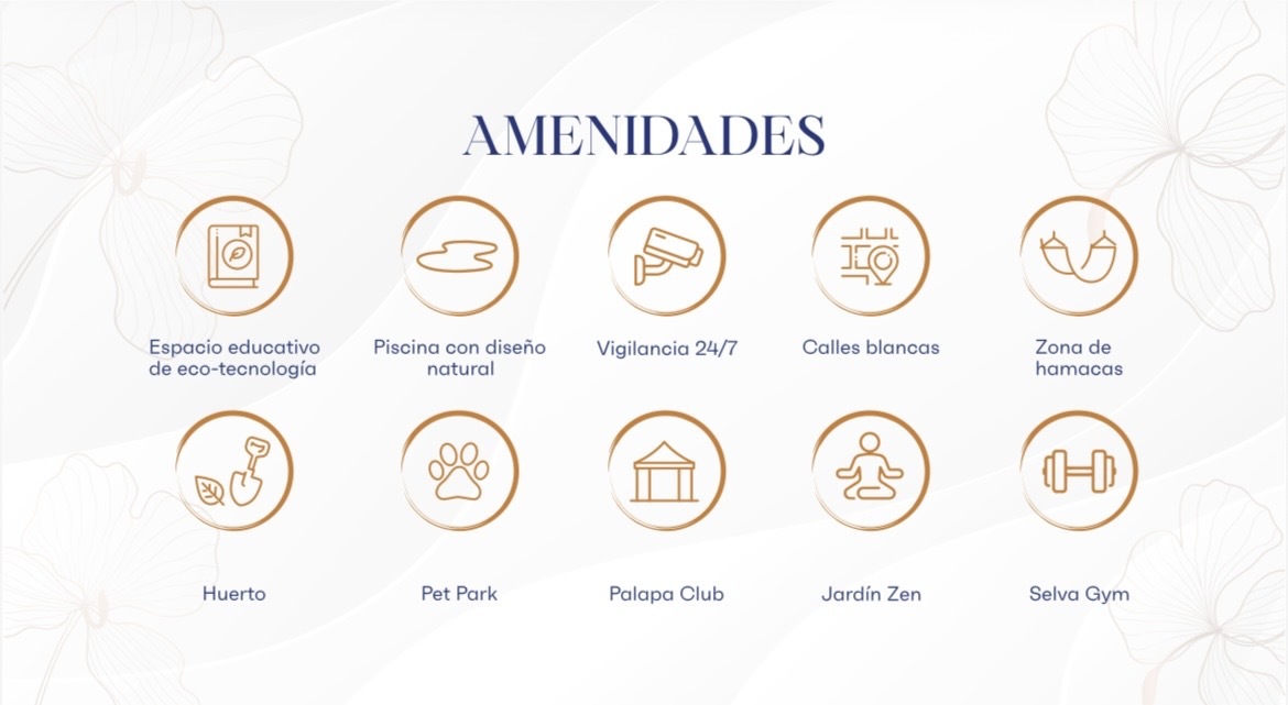 12 de 17