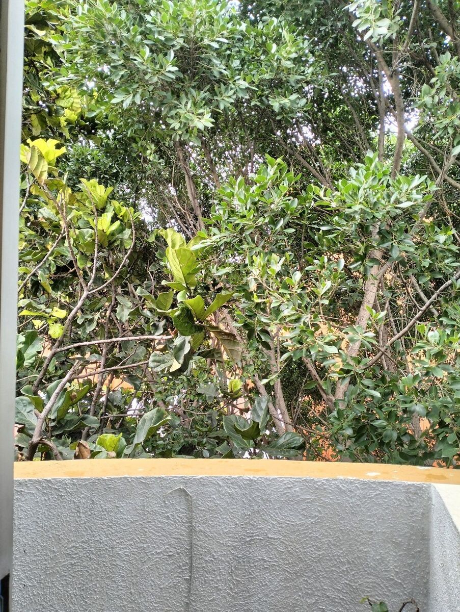 10 de 15