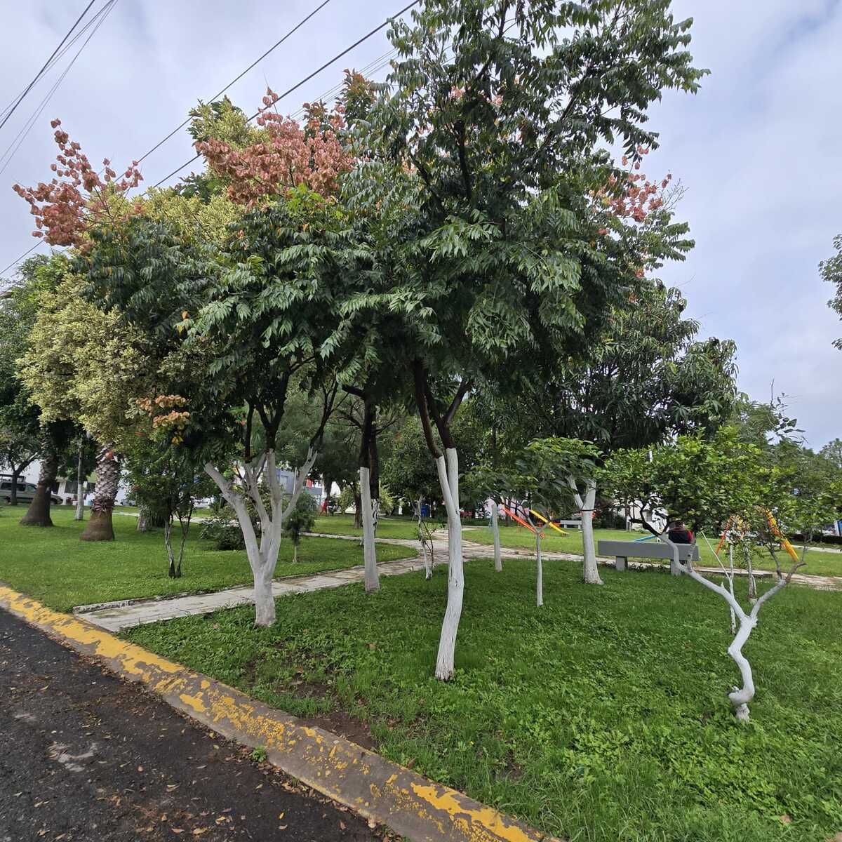 13 de 15
