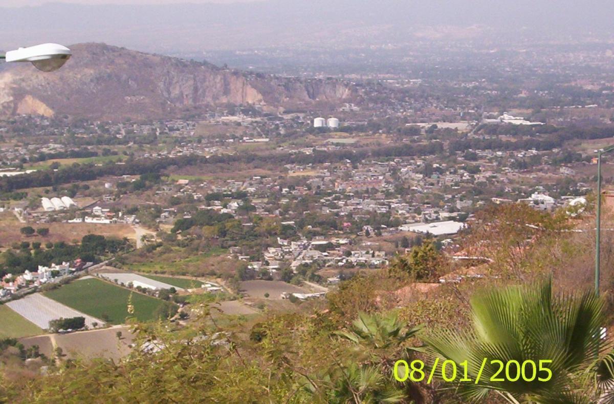 3 de 16