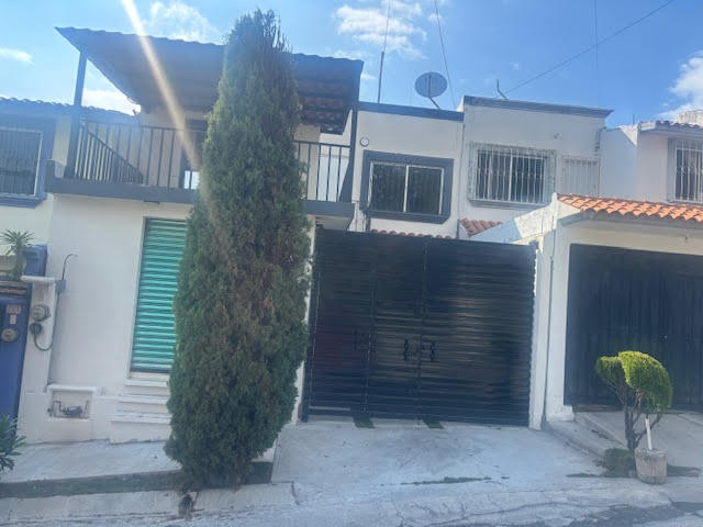 1 de 19