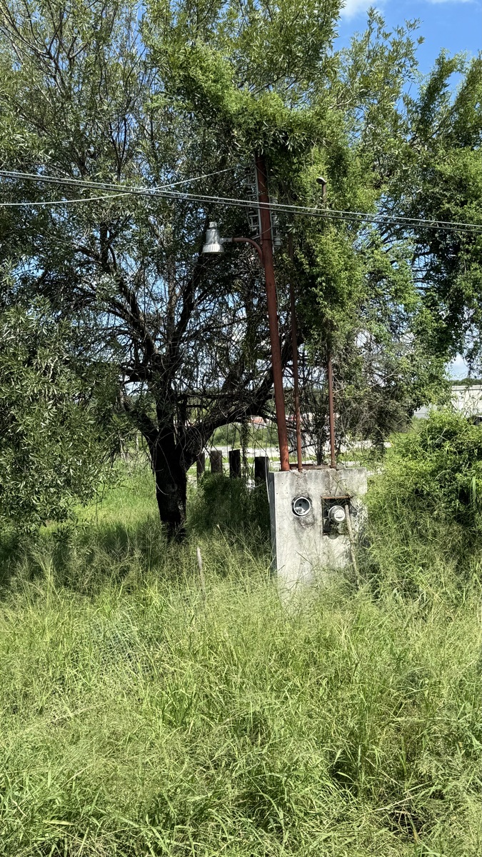11 de 15