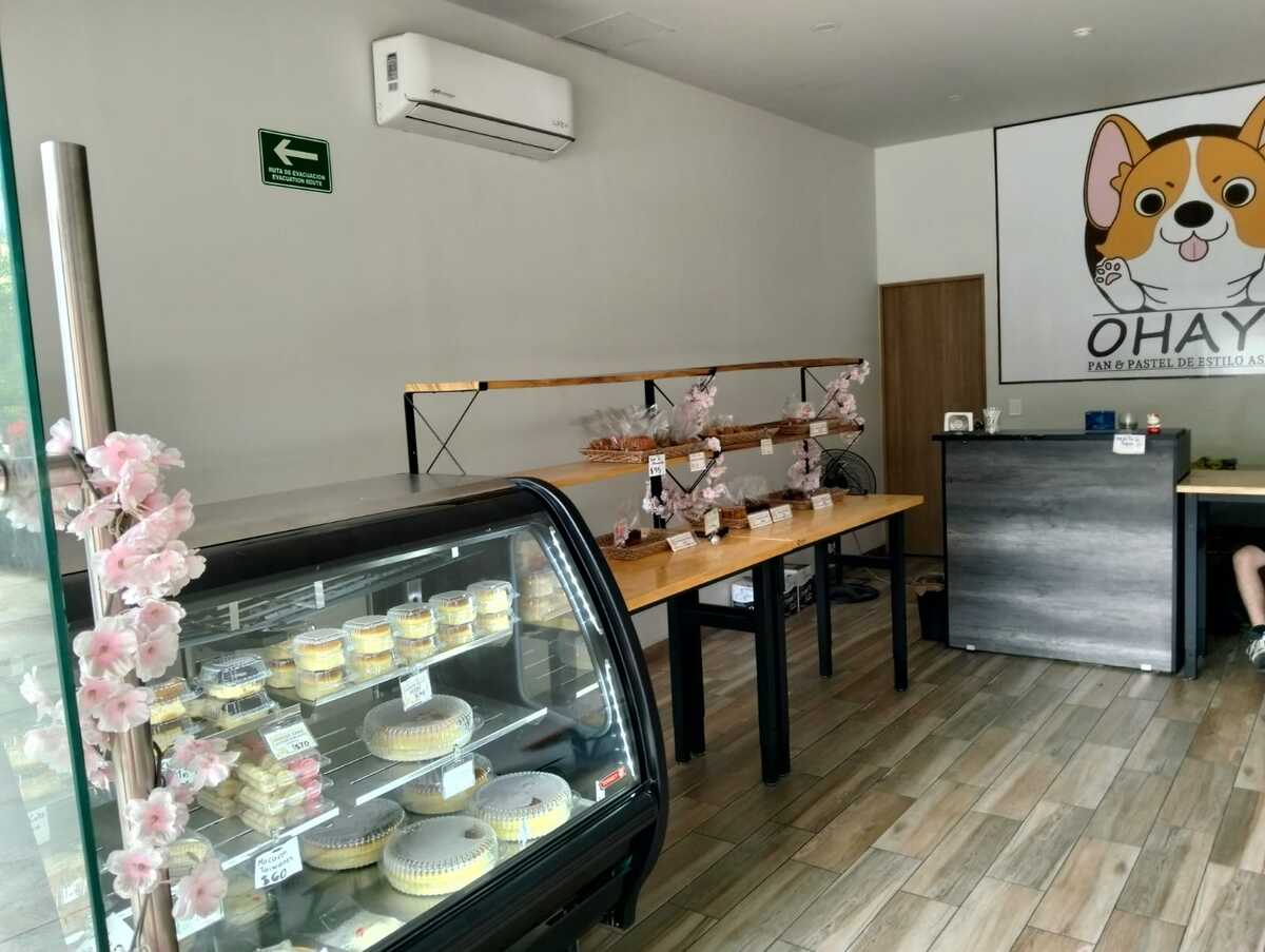 2 de 13