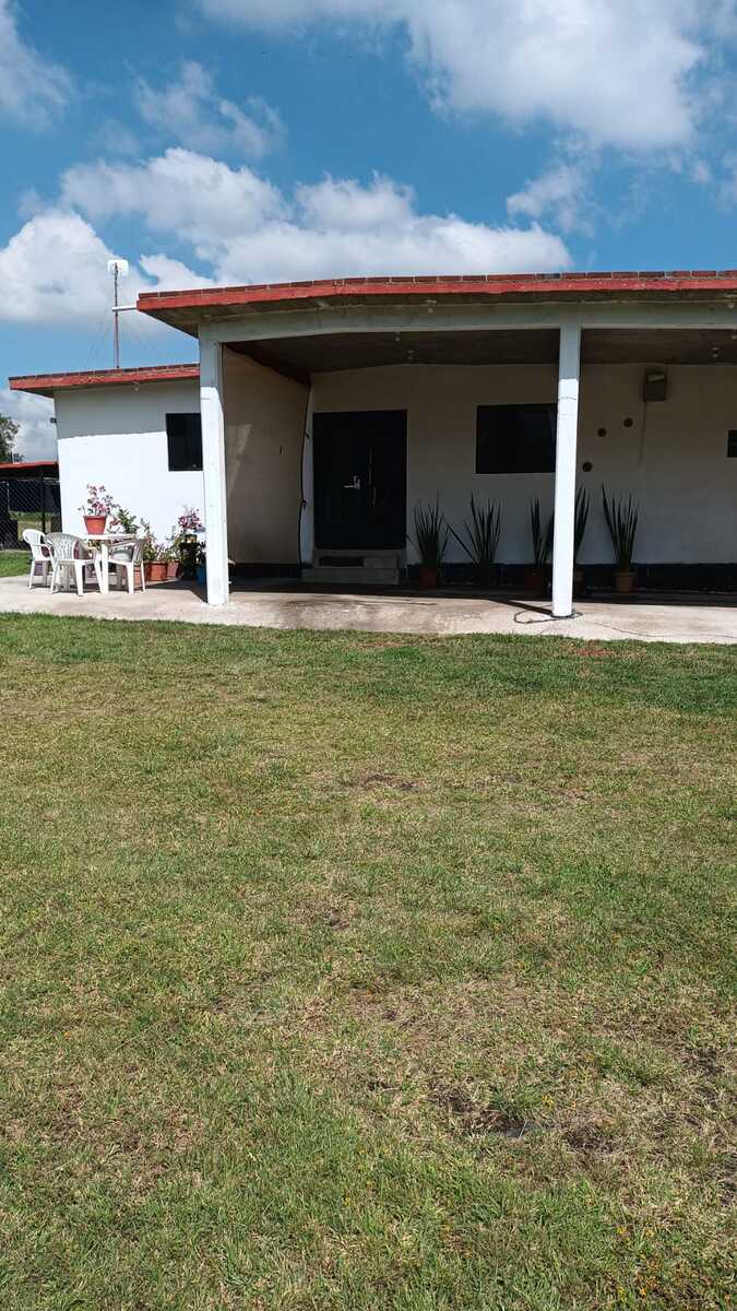 2 de 14