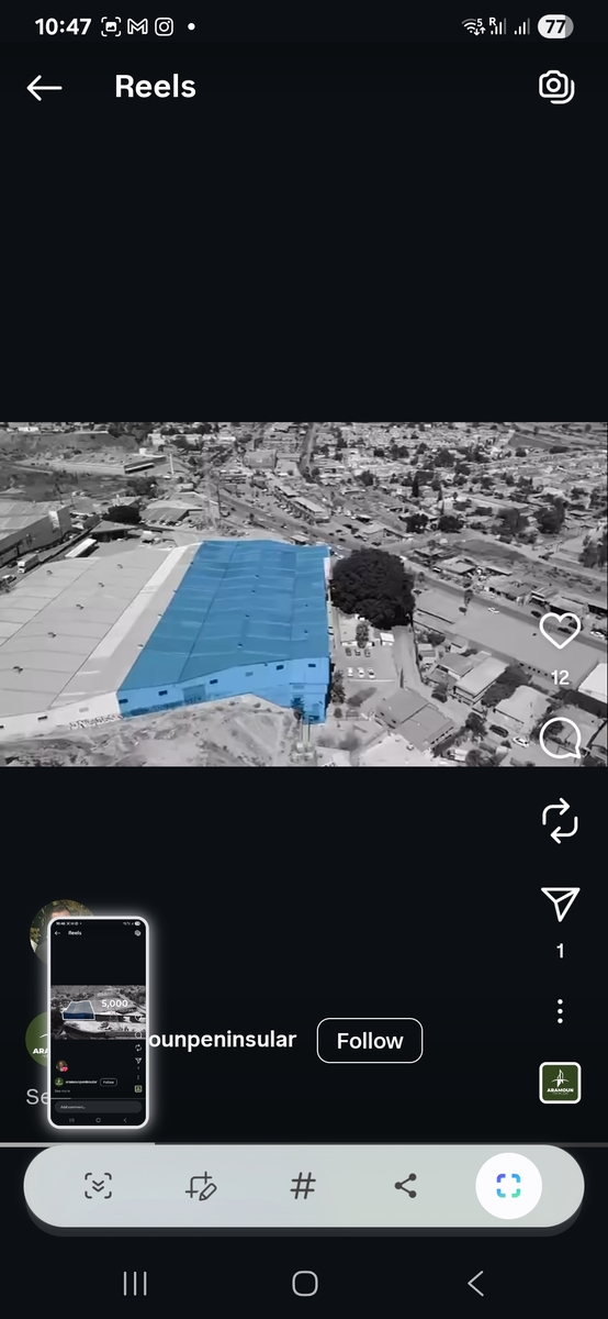 5 de 19