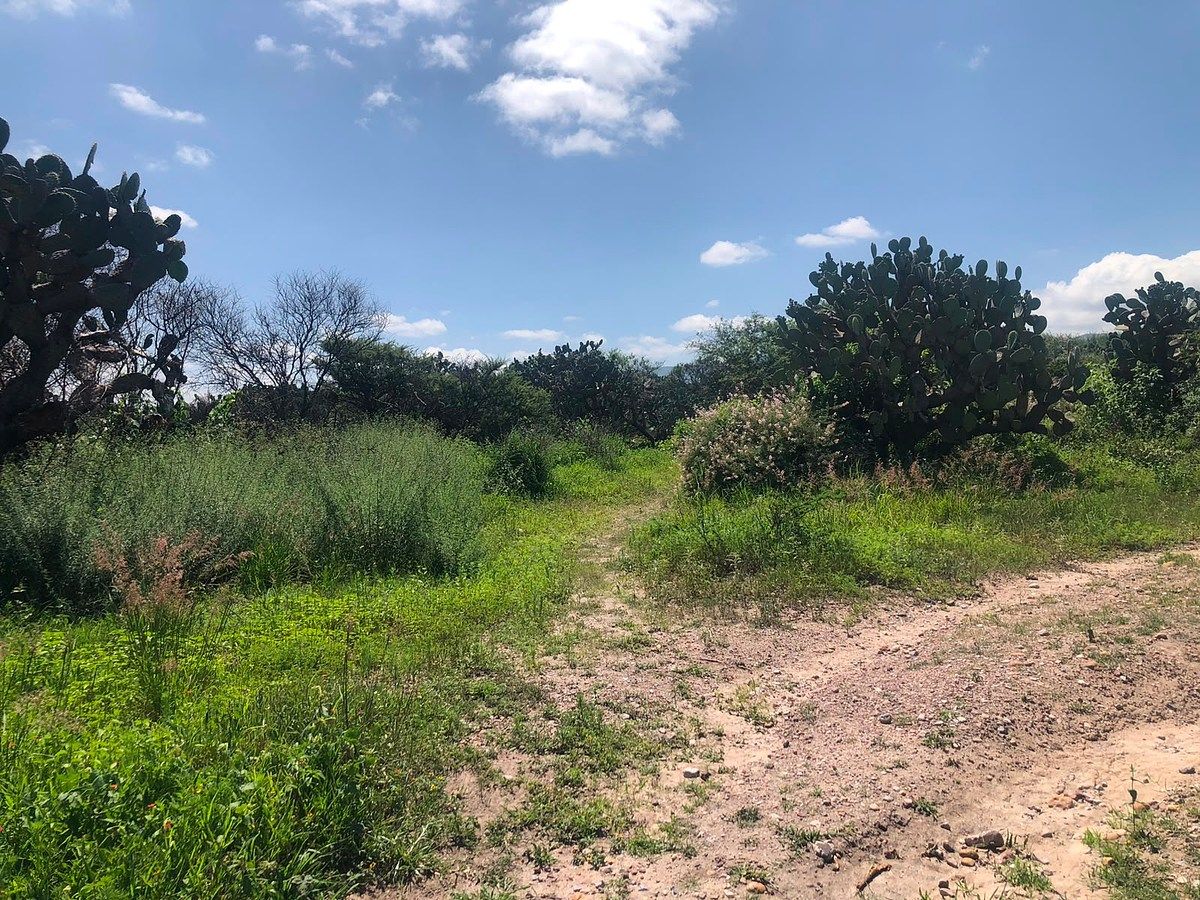 Lot in Flores de Begoña, San Miguel de Allende, photo 15 of 20