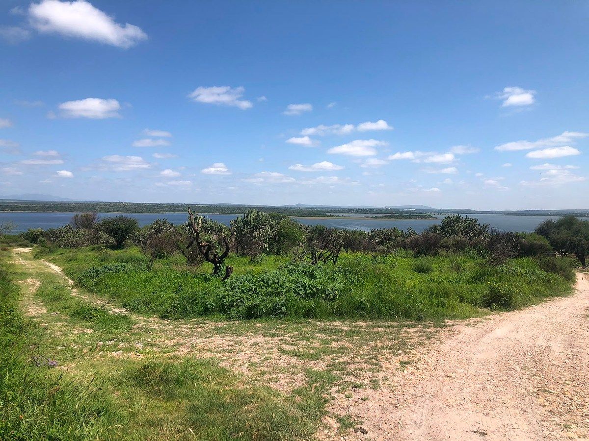 Lot in Flores de Begoña, San Miguel de Allende, photo 16 of 20