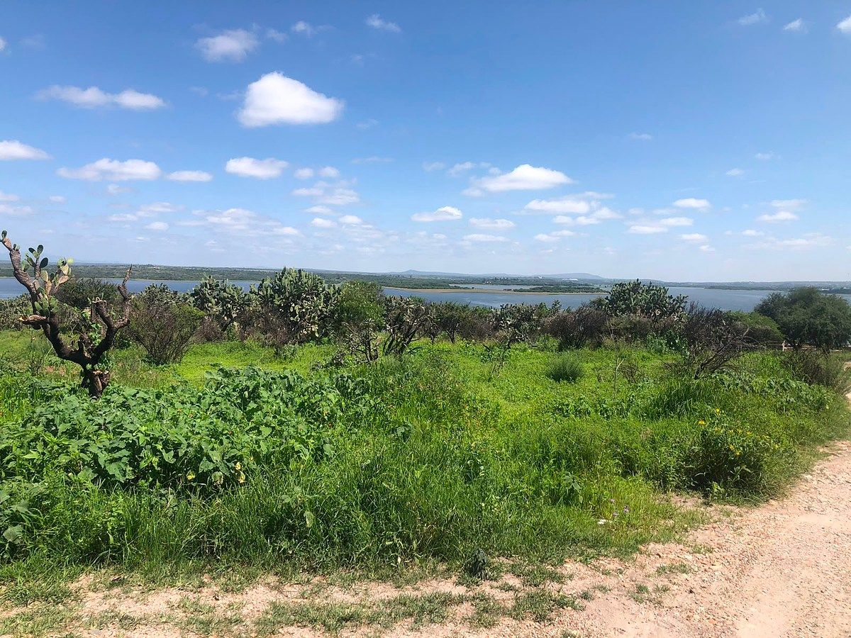 Lot in Flores de Begoña, San Miguel de Allende, photo 20 of 20