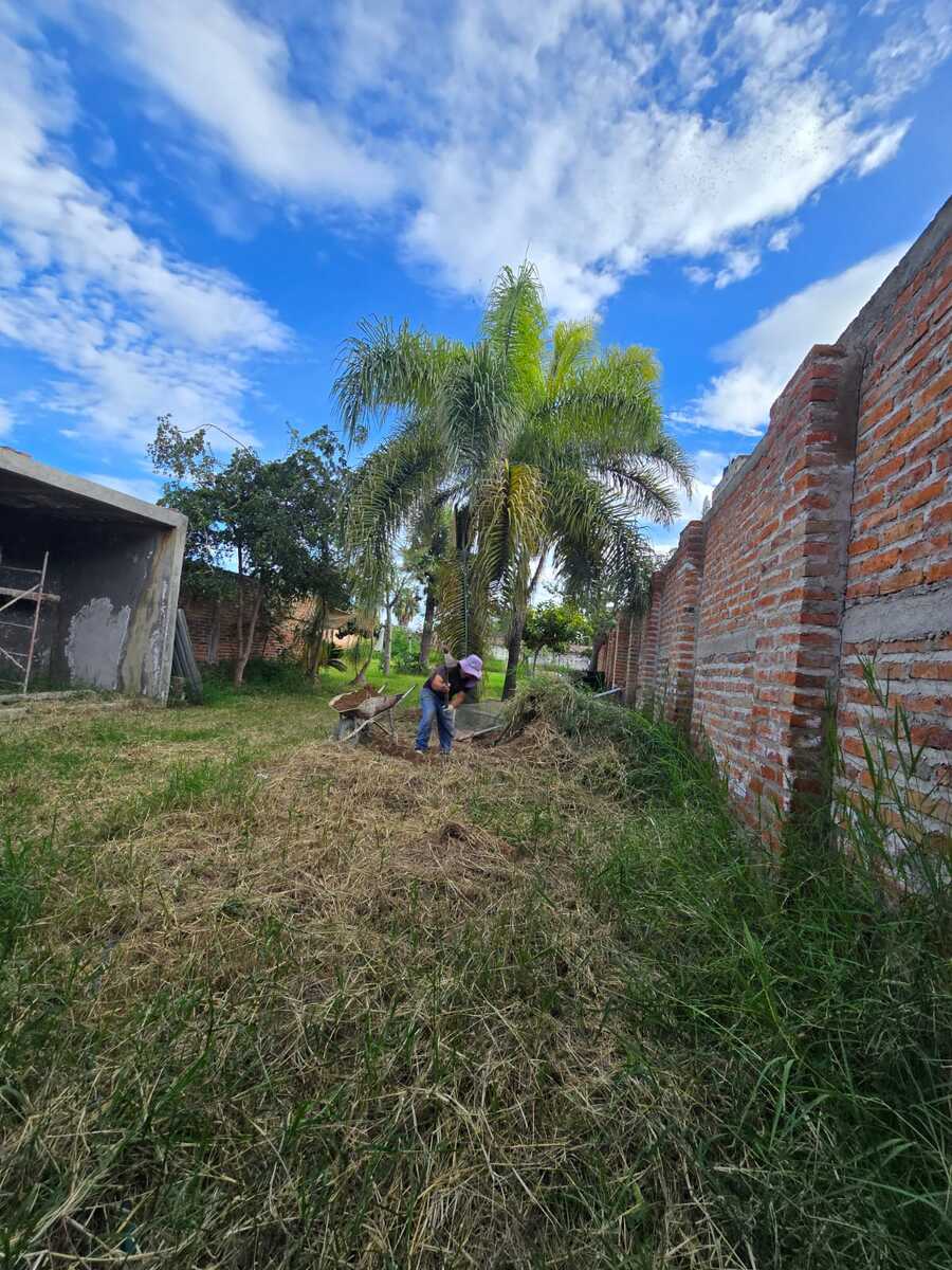 1 de 10