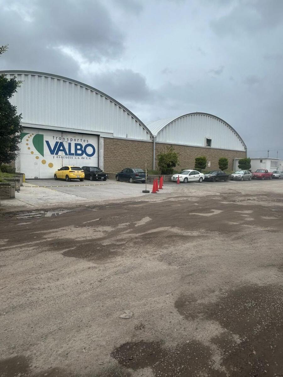 4 de 8