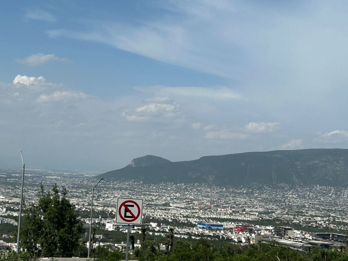 4 de 6