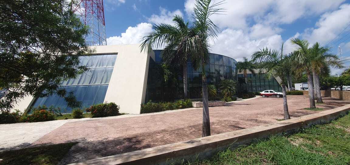 2 de 11