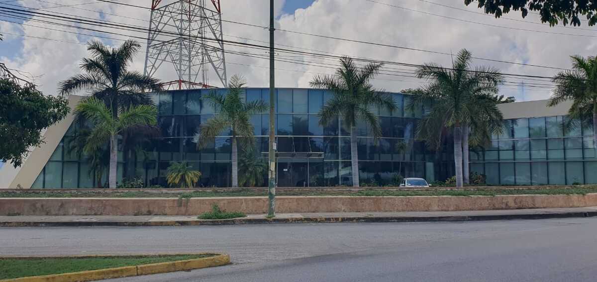 3 de 11