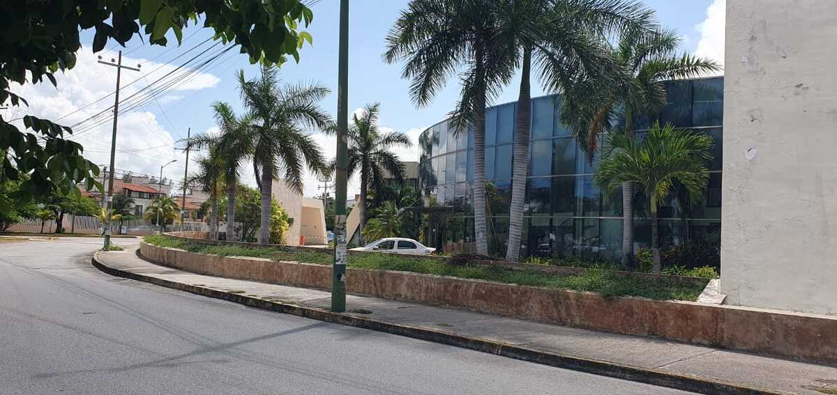 6 de 11