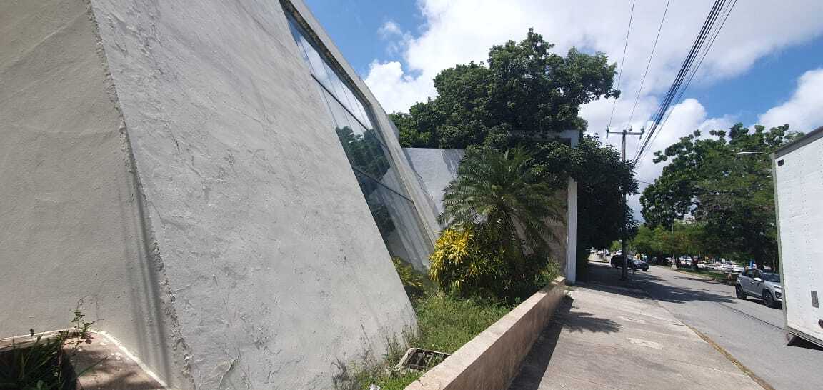 7 de 11