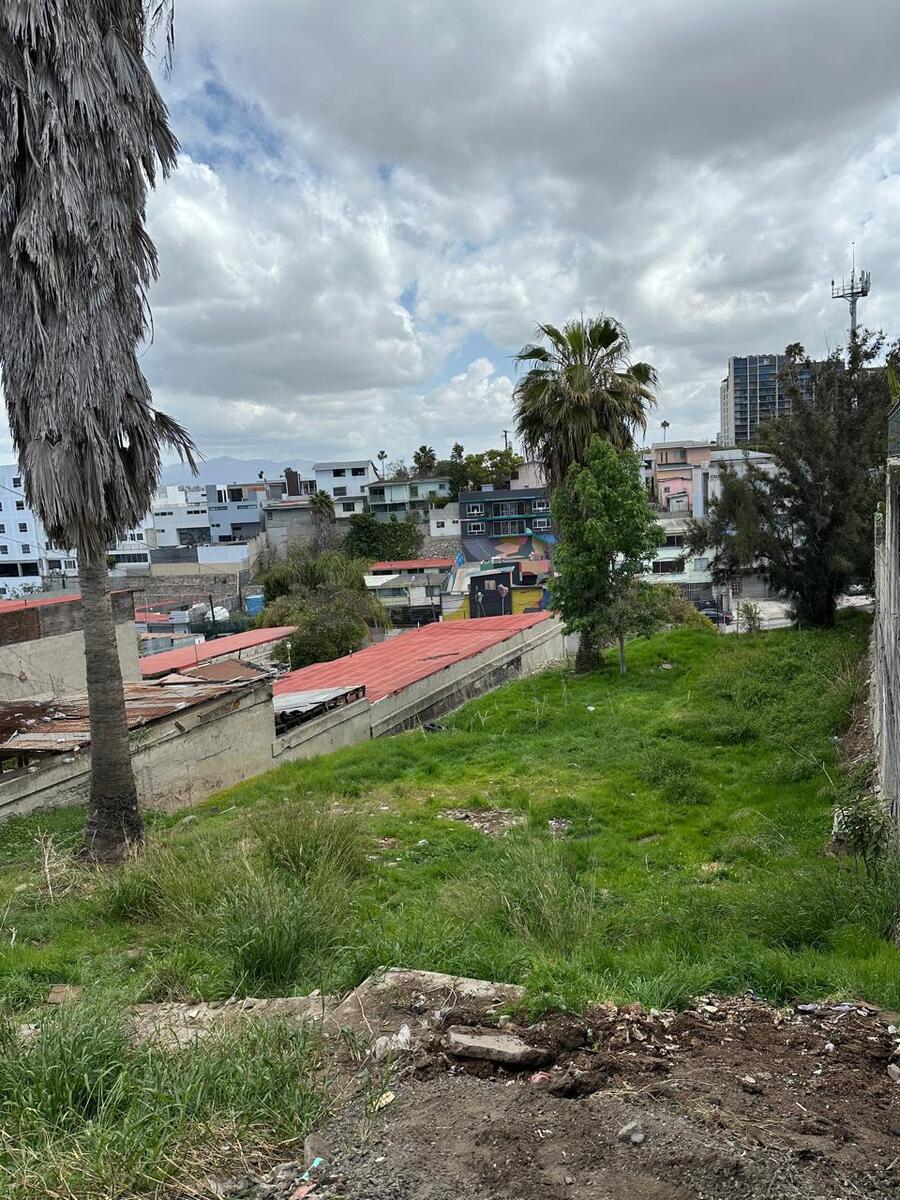 4 de 4