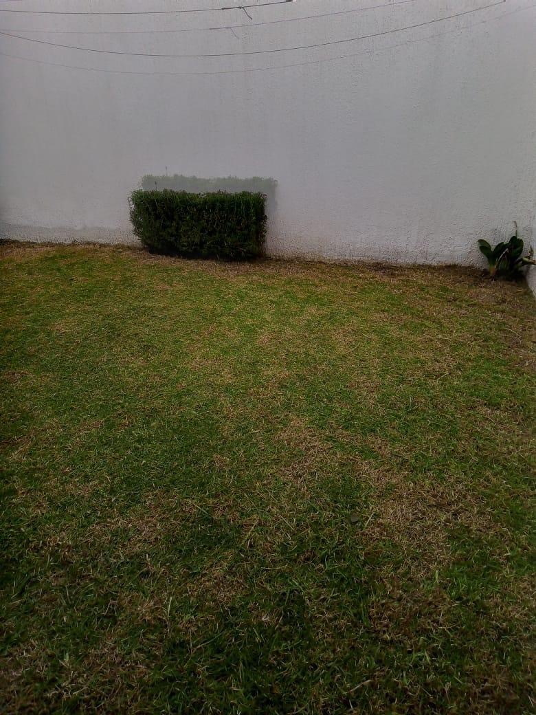 12 de 32