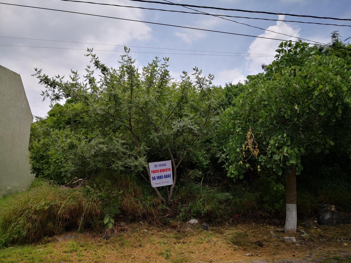 2 de 6