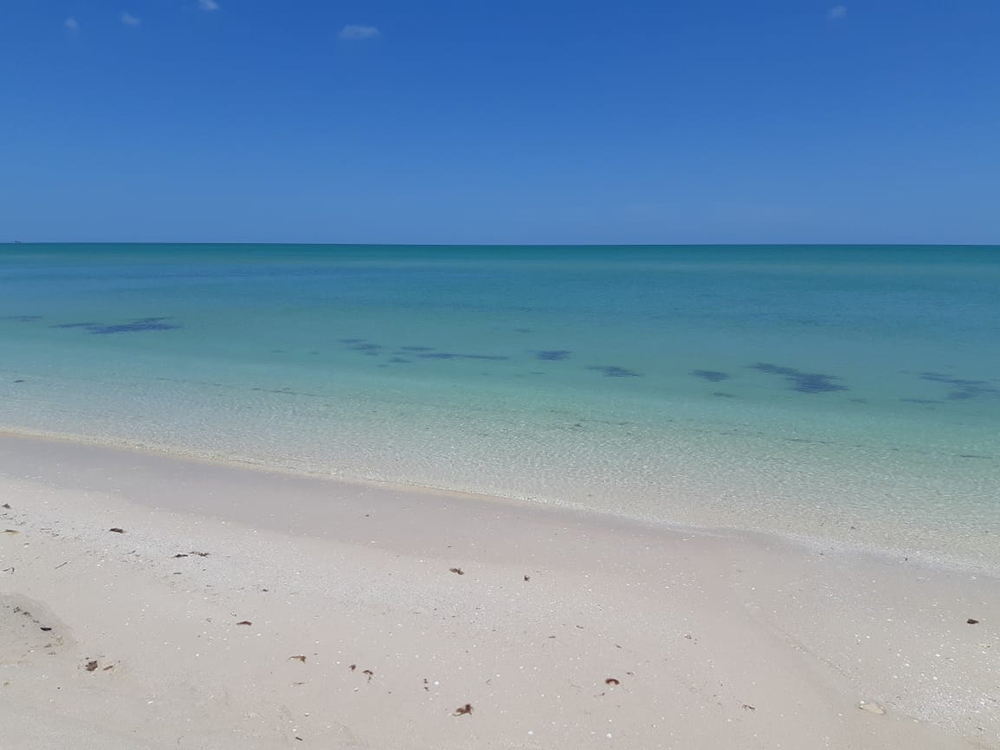 1 de 13