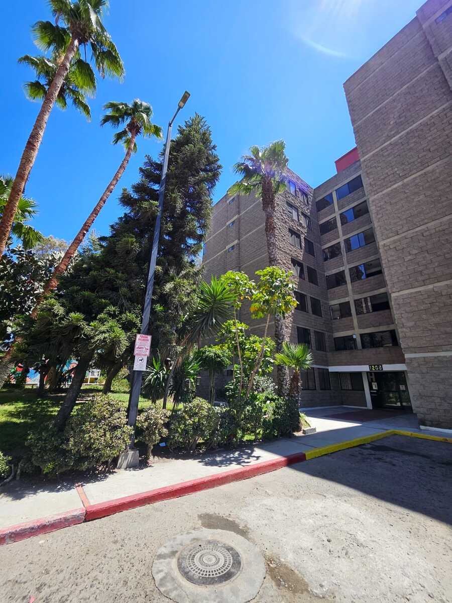 2 de 11