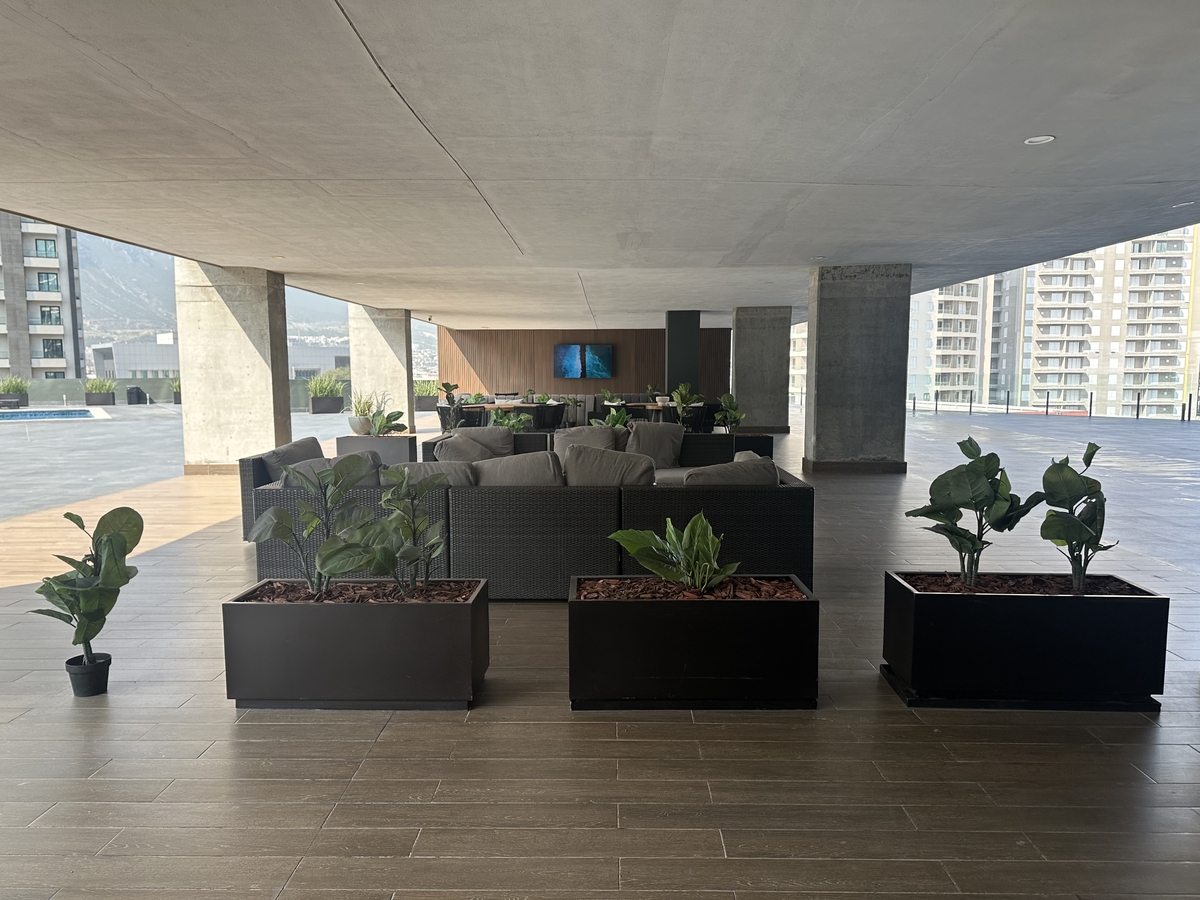 14 de 14: Terraza dia