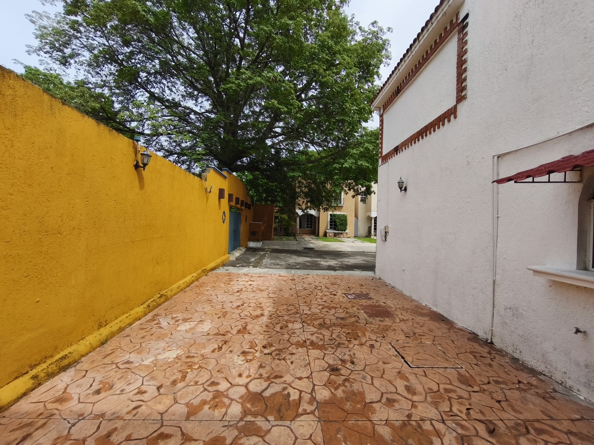 3 de 24