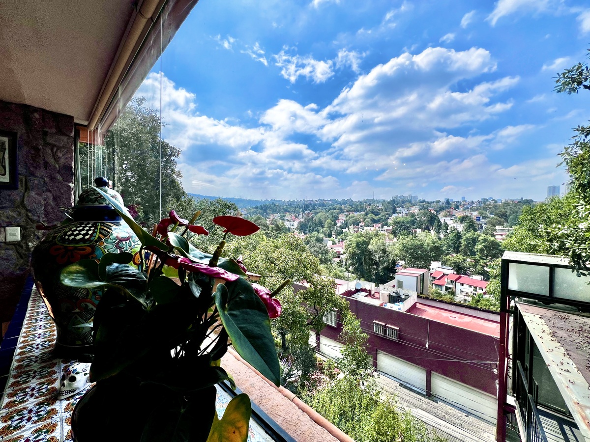 10 de 50: Vista panorámica desde comedor