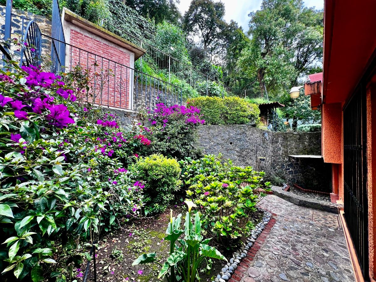 35 de 50: Salida a jardín