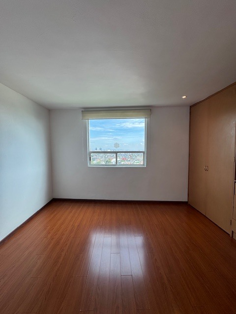 11 de 31