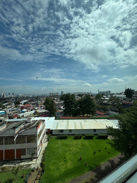 19 de 31