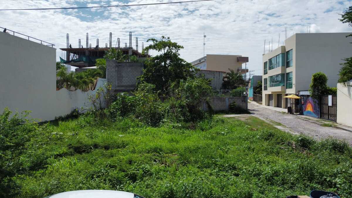 3 de 10