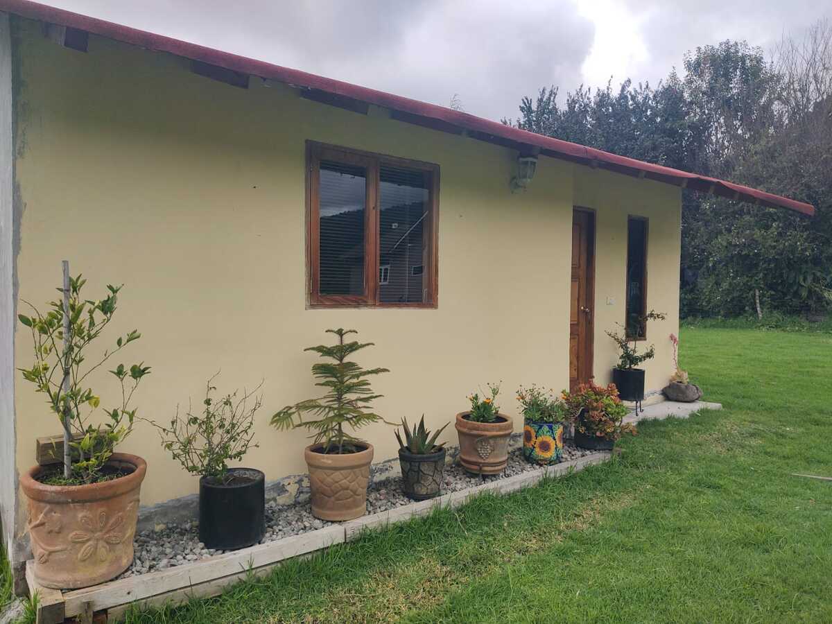 10 de 10