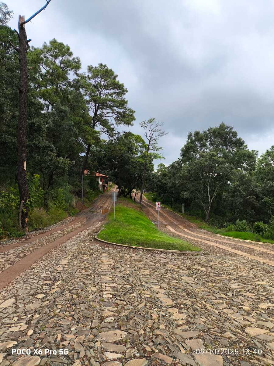 3 de 9