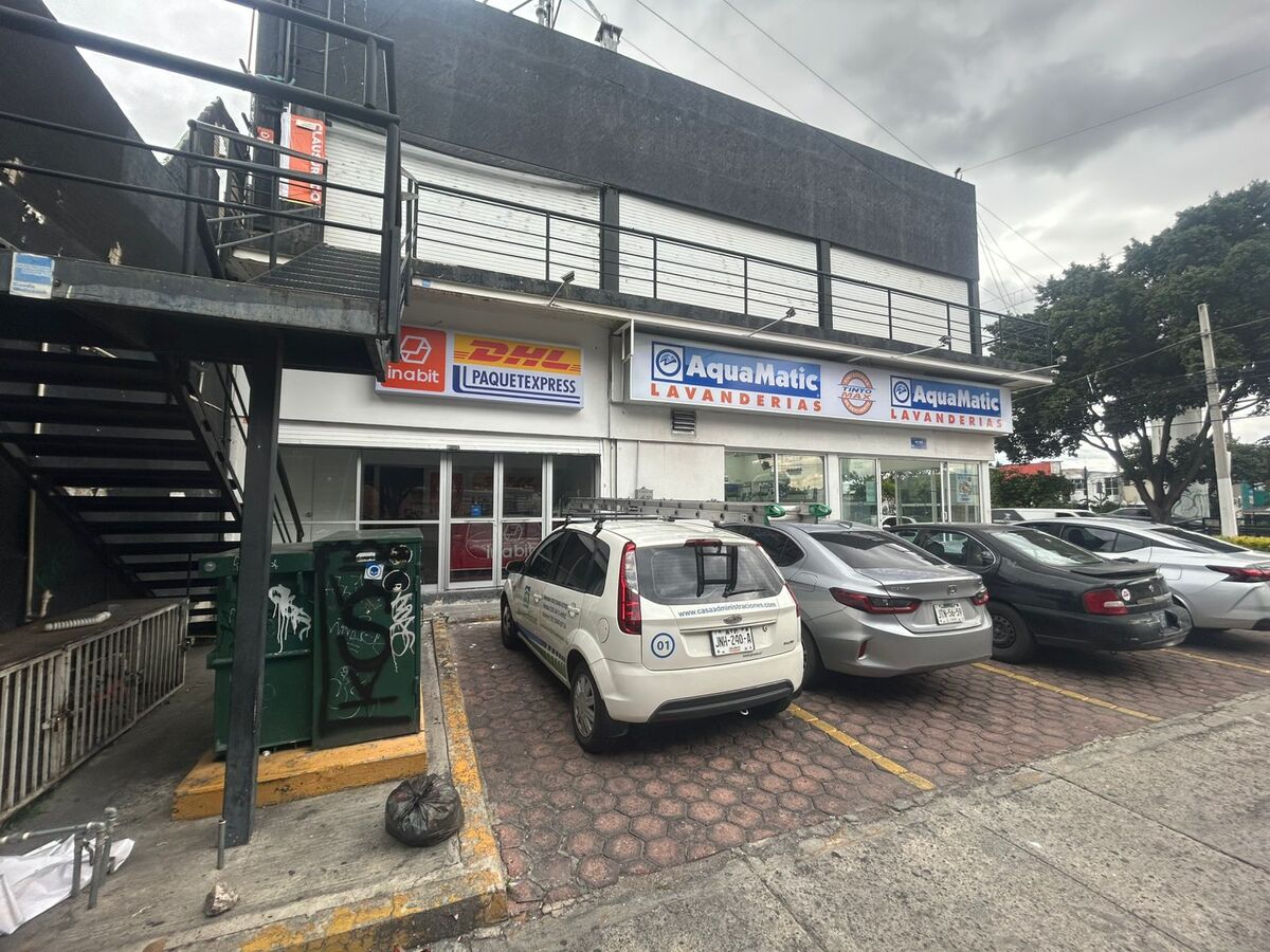 4 de 11