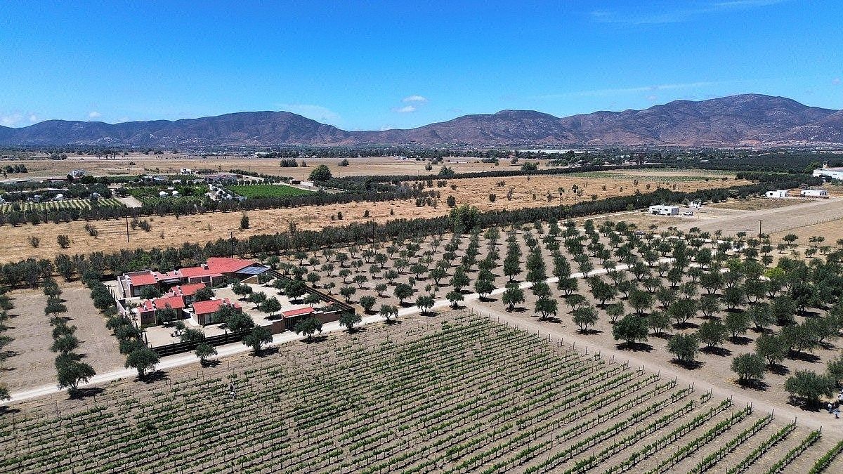 Terreno Financiado en Valle de Guadalupe, Ruta del Vino, Ensenada