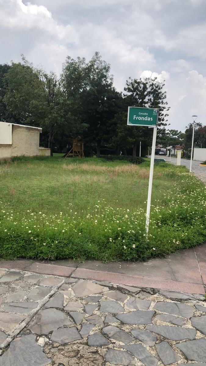 1 de 24