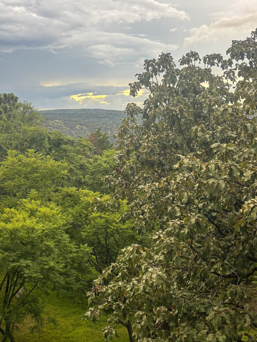 27 of 31: Vista desde Recamara Principal