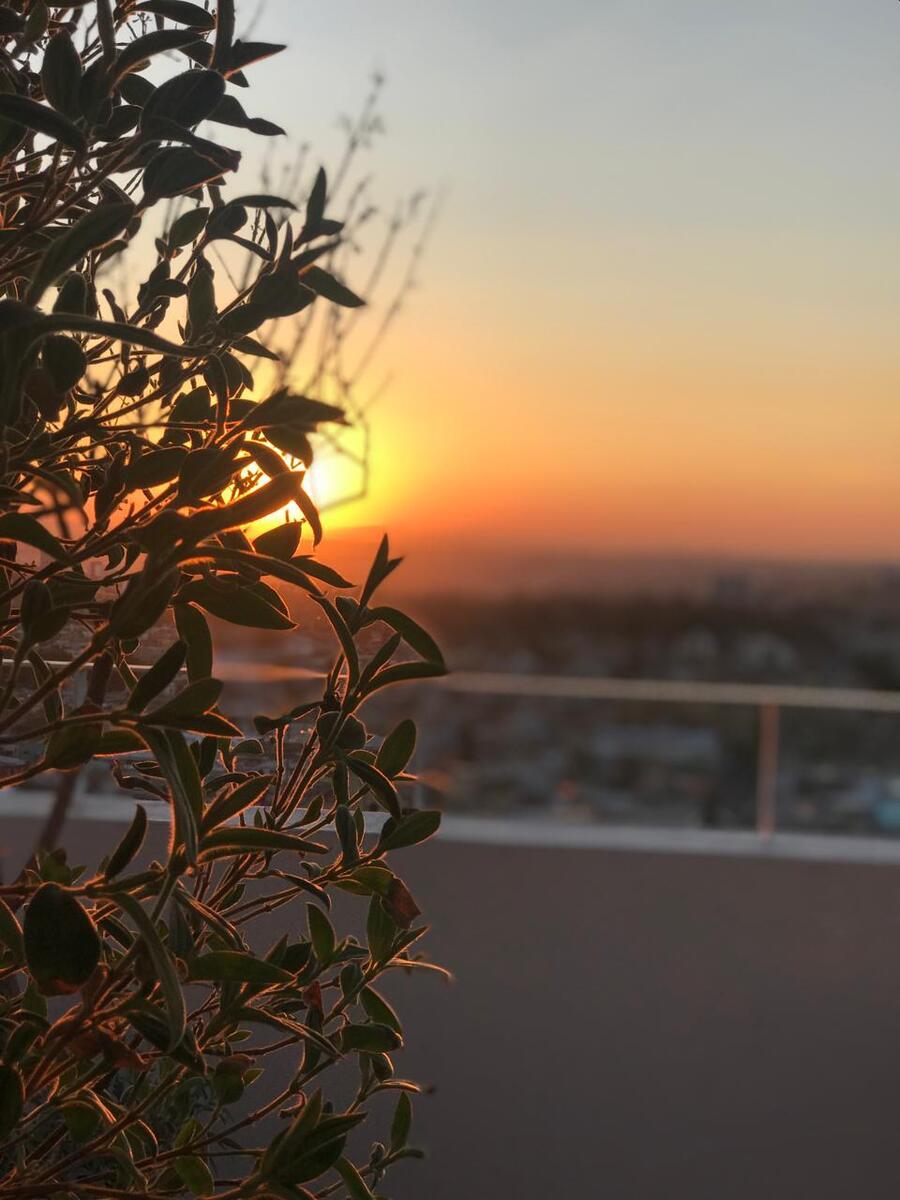 5 de 23