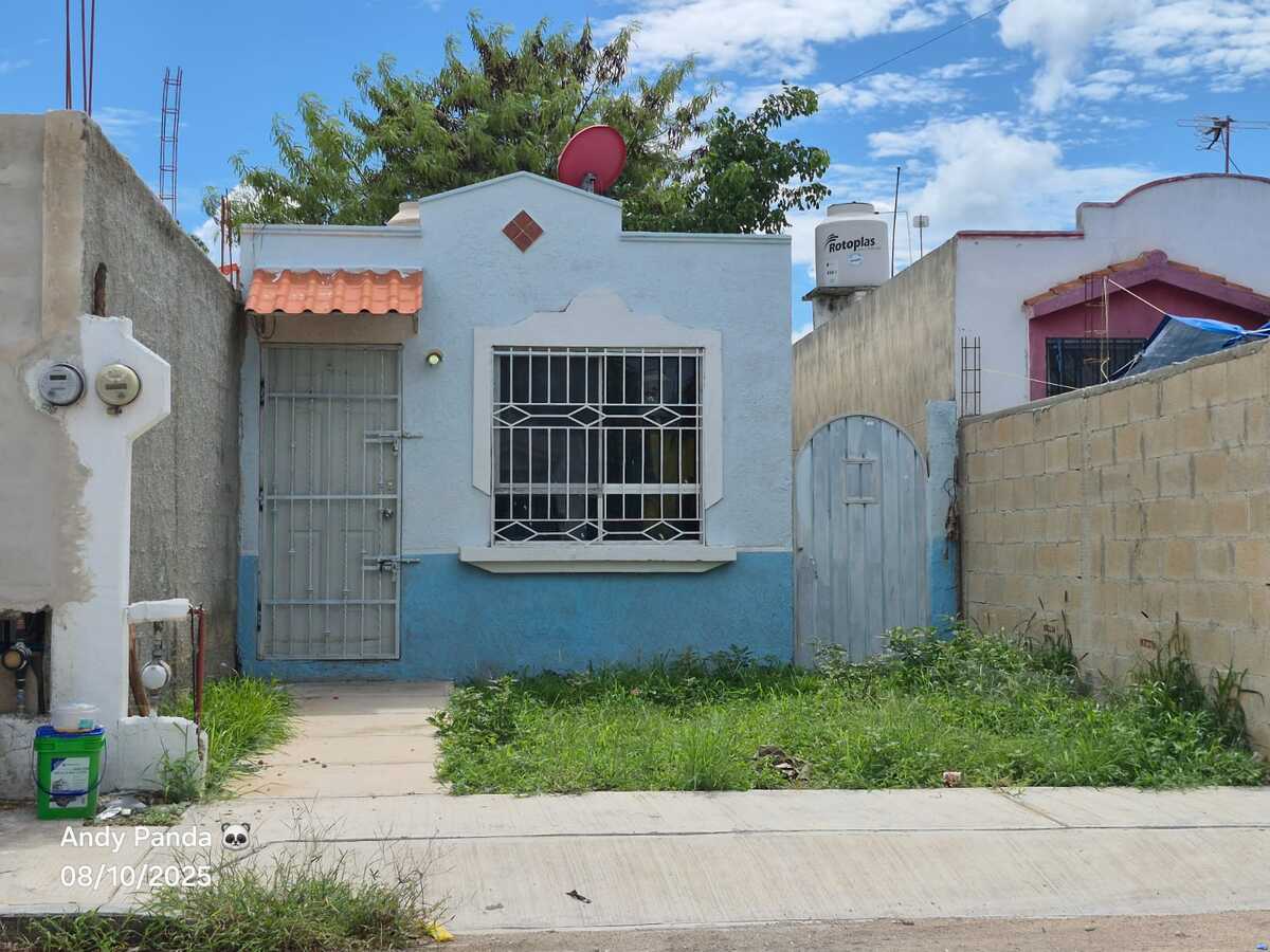 5 de 12