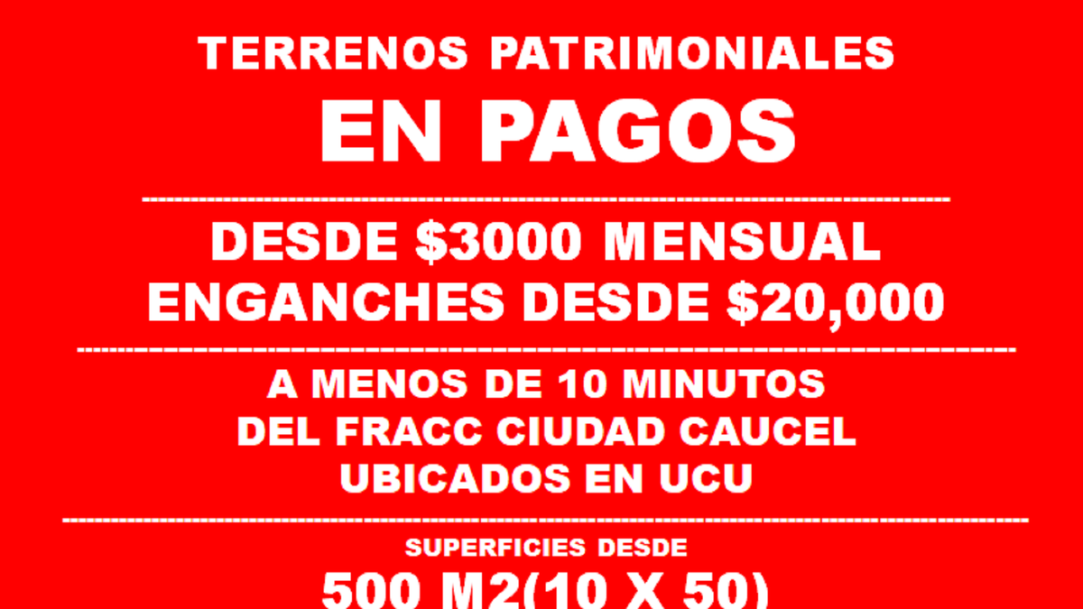 1 de 8