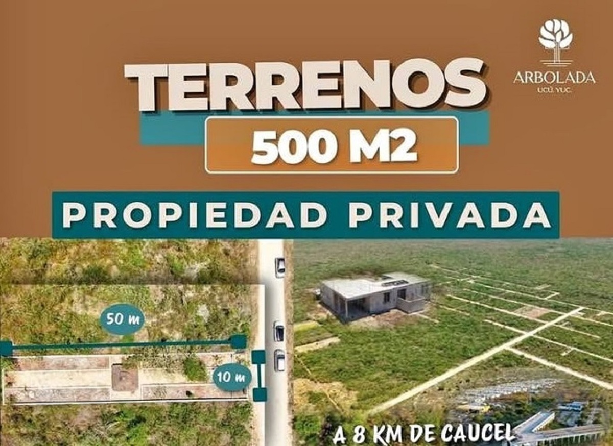 2 de 8