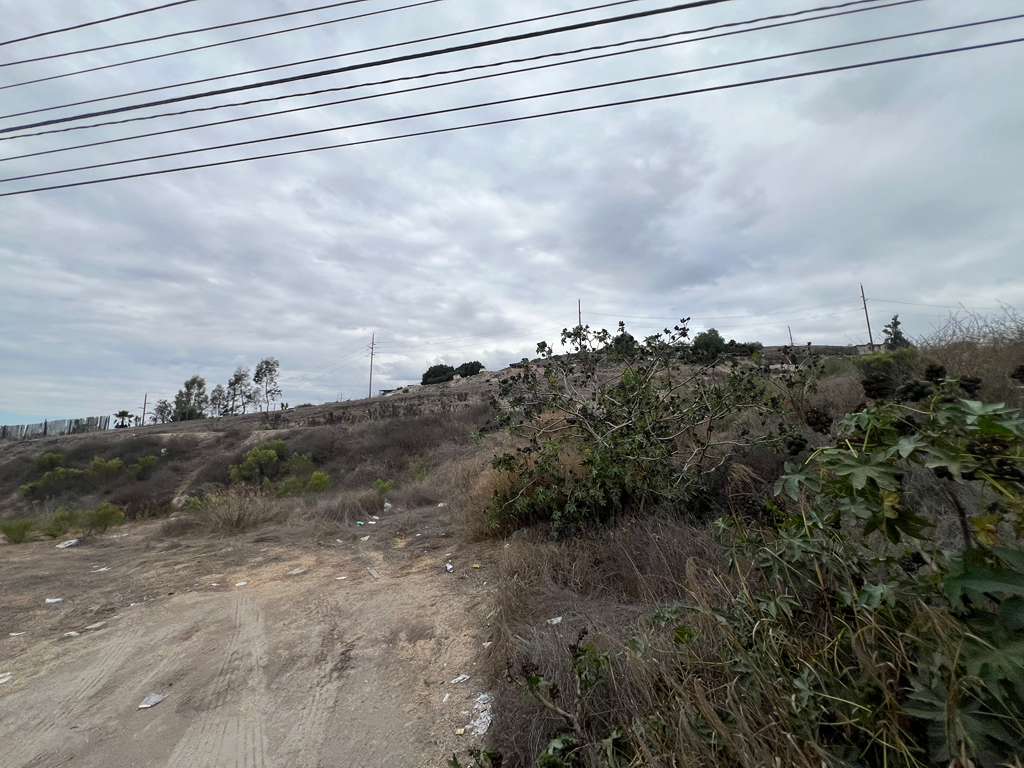 3 de 6