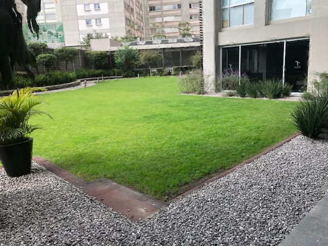 5 de 21