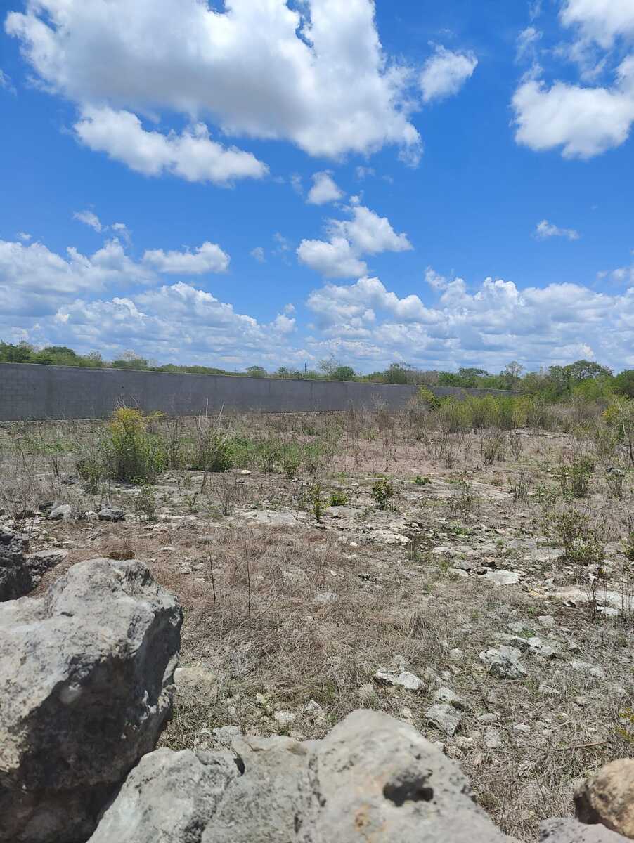 6 de 17