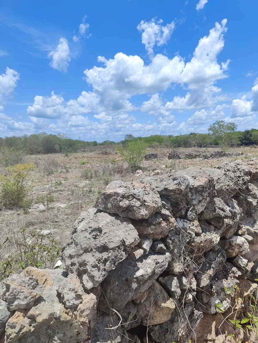 12 de 17